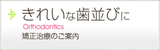 きれいな歯並びに